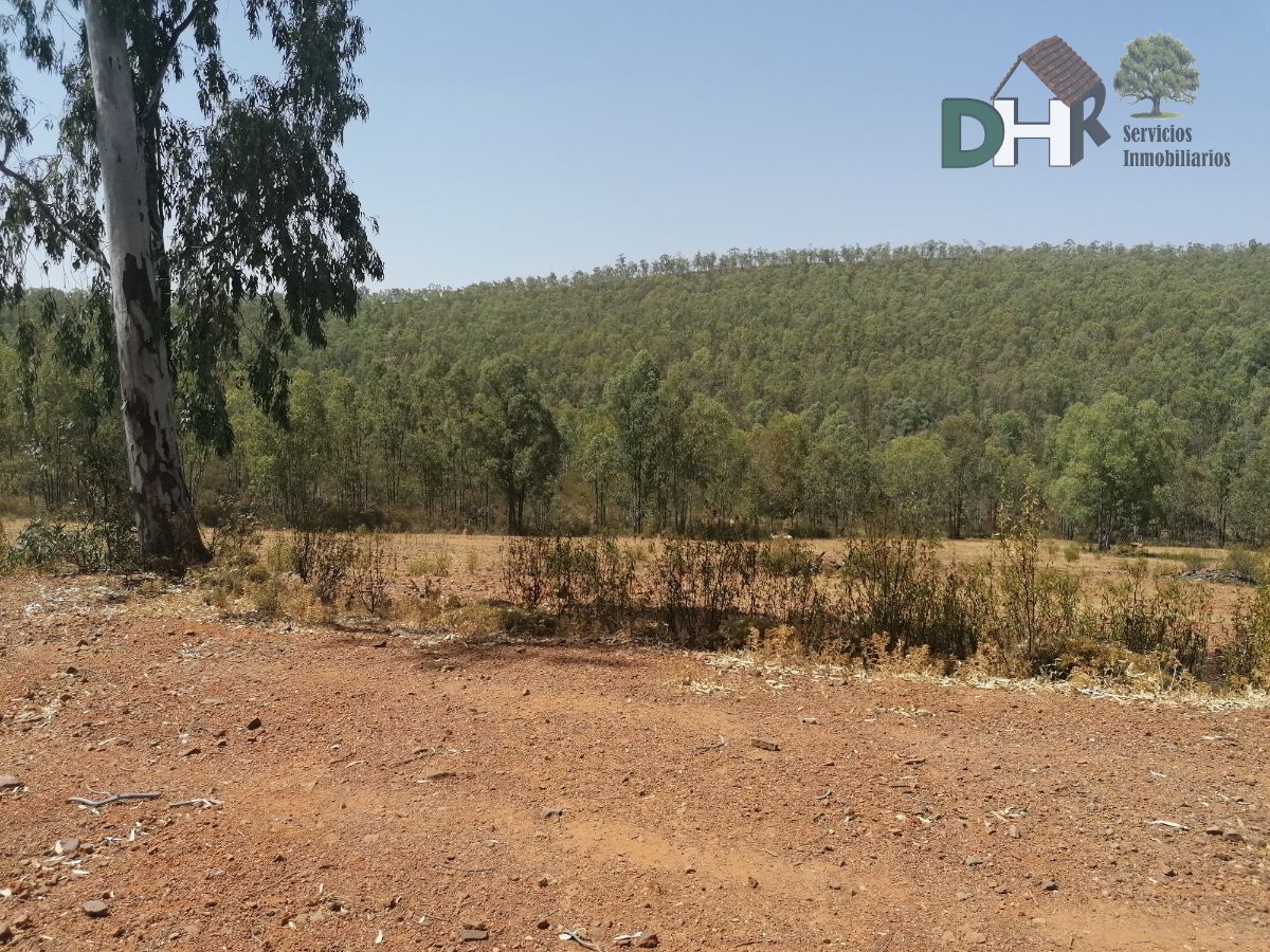 For sale of land in Badajoz