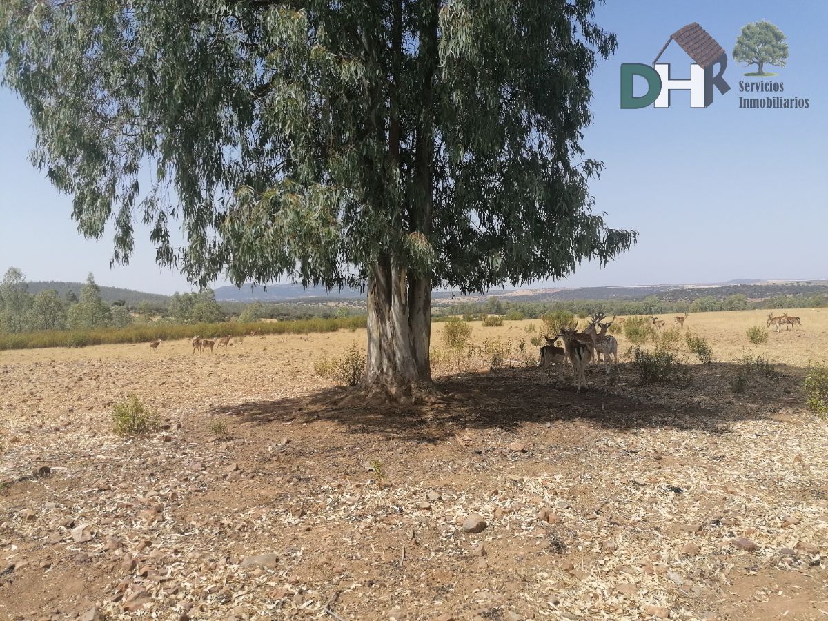 For sale of land in Badajoz