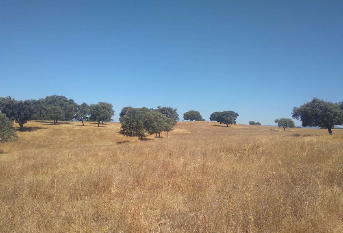 For sale of land in Badajoz