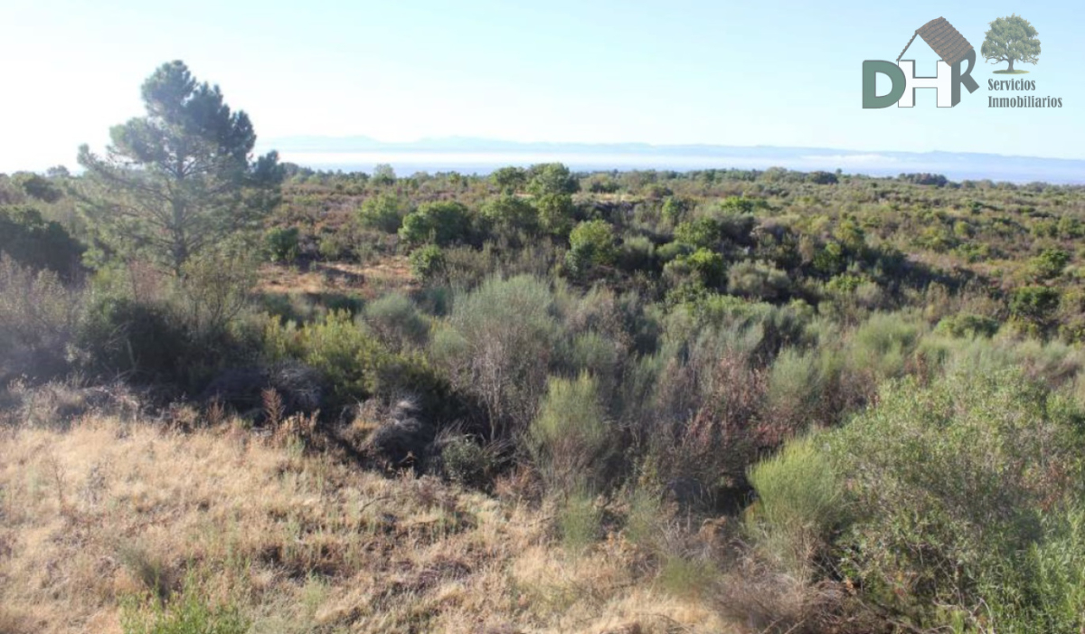 Venta de terreno en Cáceres