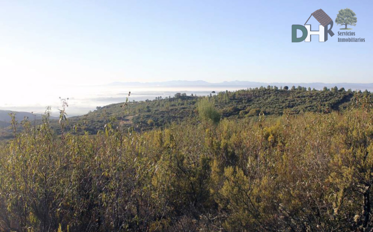 Venta de terreno en Cáceres