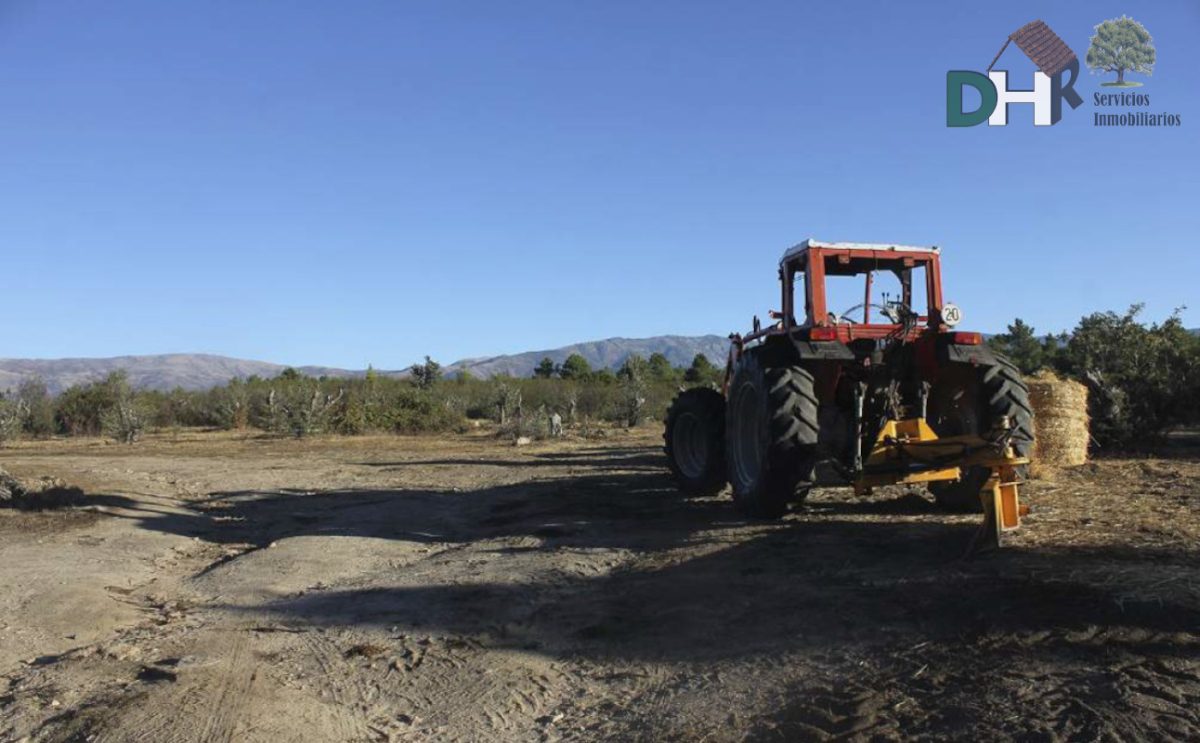 Venta de terreno en Cáceres