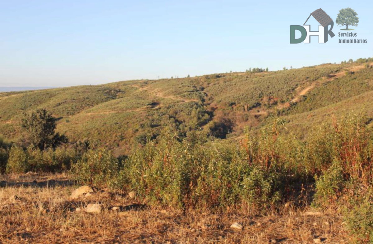 For sale of land in Cáceres