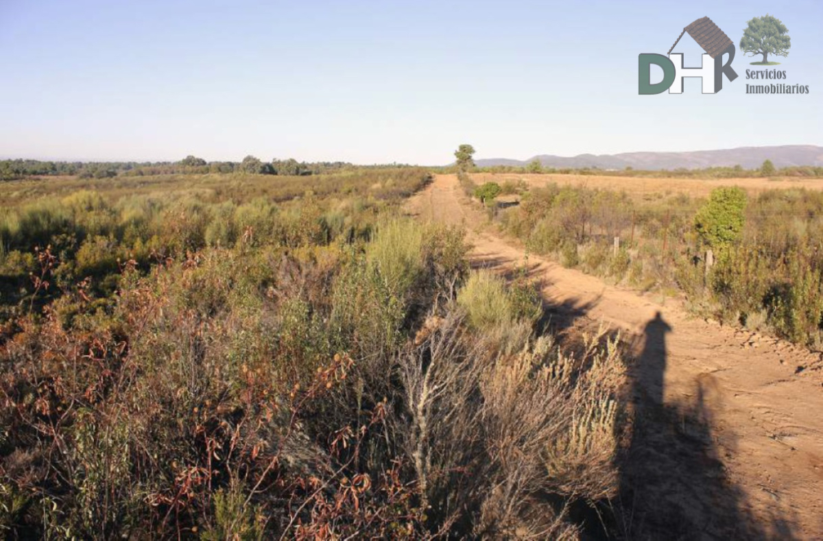 Venta de terreno en Cáceres