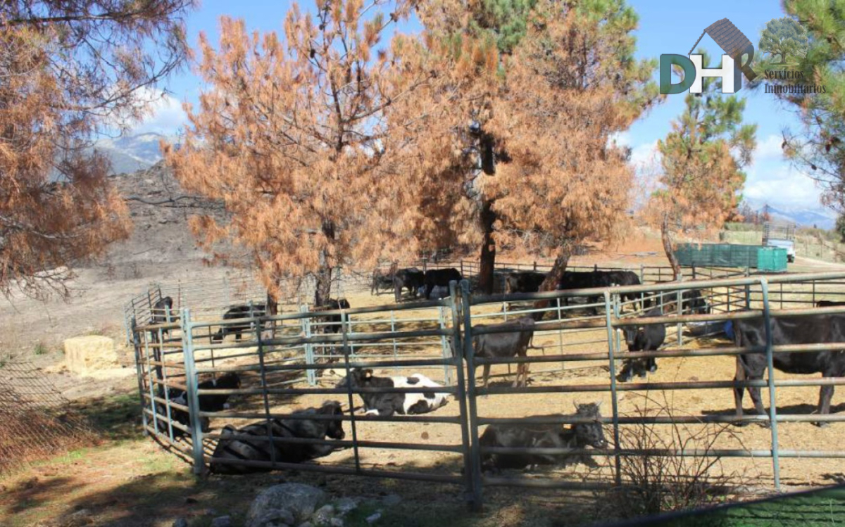 Venta de terreno en Cáceres