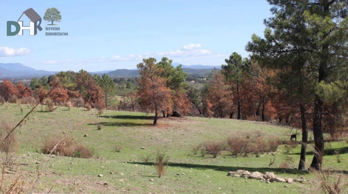 For sale of land in Cáceres