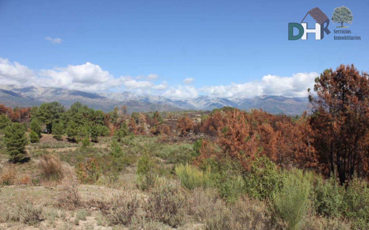 Venta de terreno en Cáceres