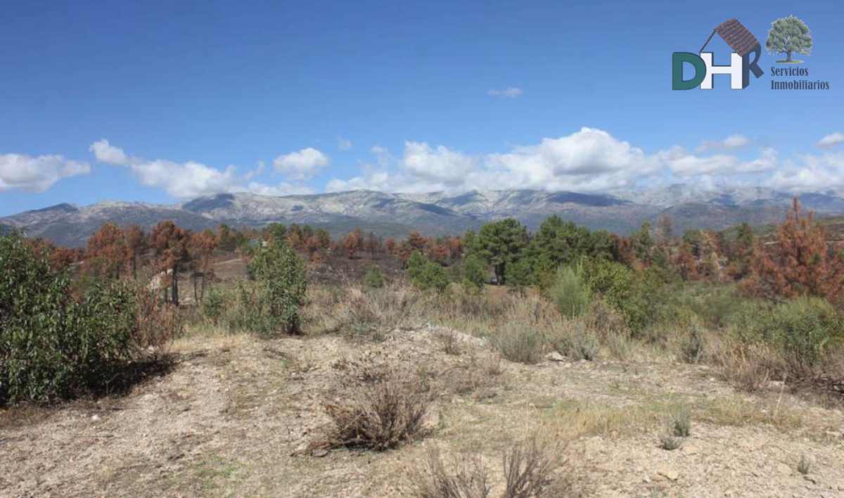 Venta de terreno en Cáceres