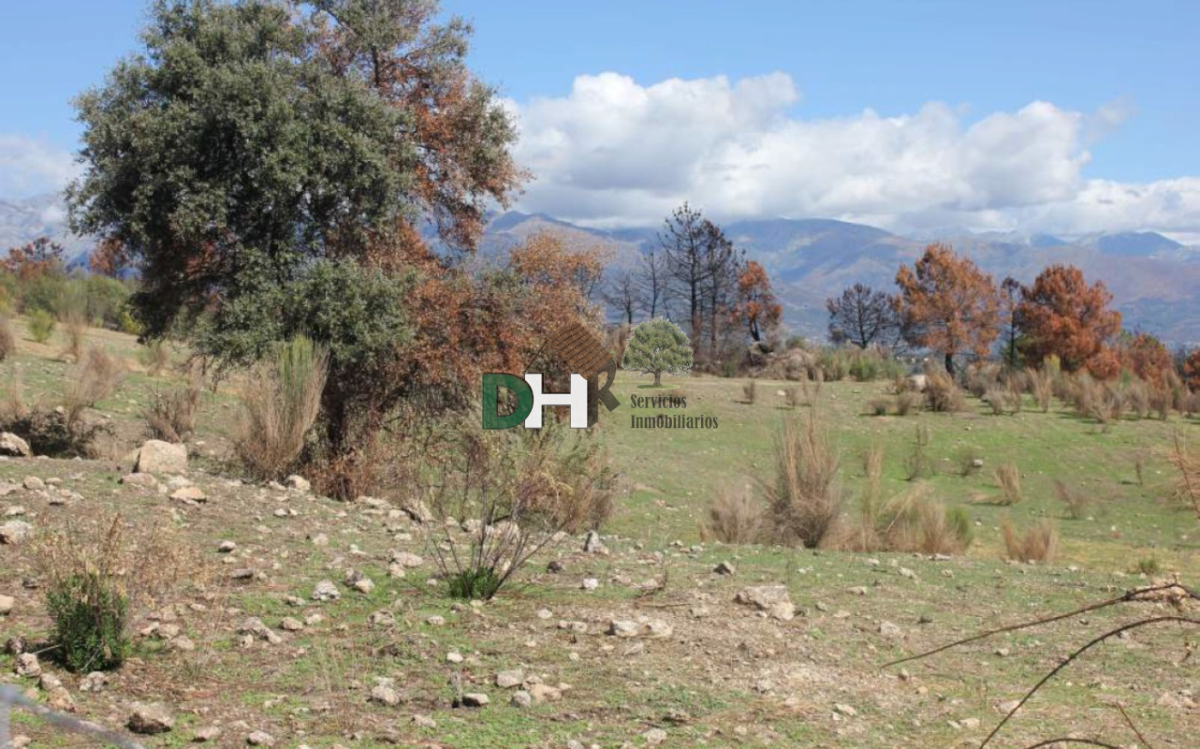 For sale of land in Cáceres