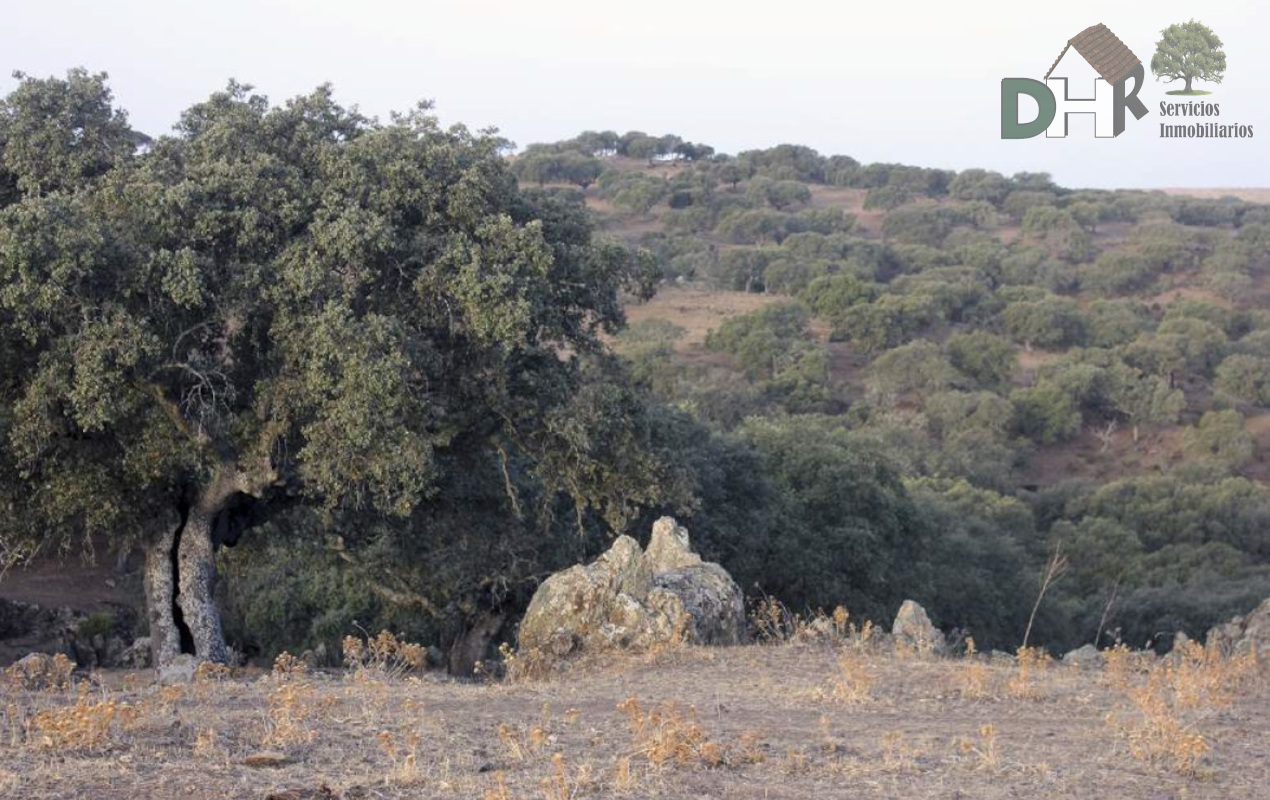 Venta de terreno en Cáceres