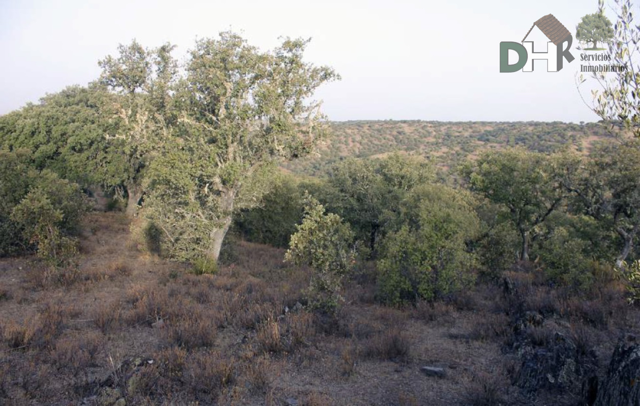 Venta de terreno en Cáceres