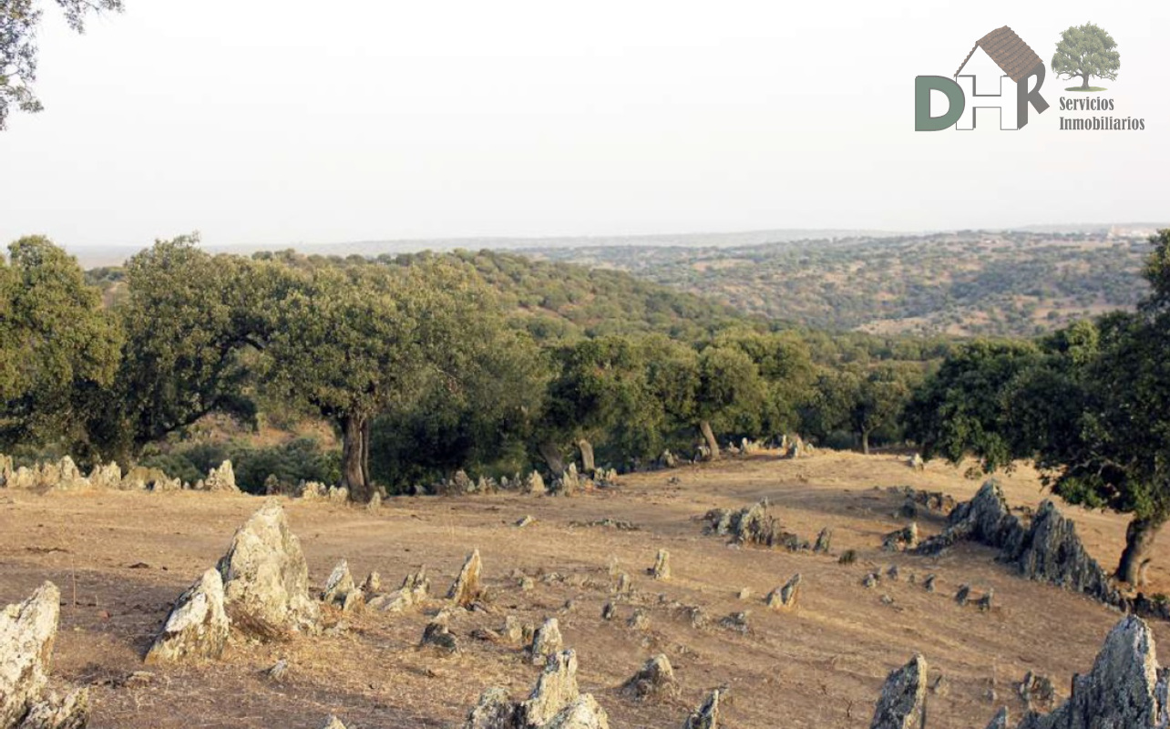 Venta de terreno en Cáceres