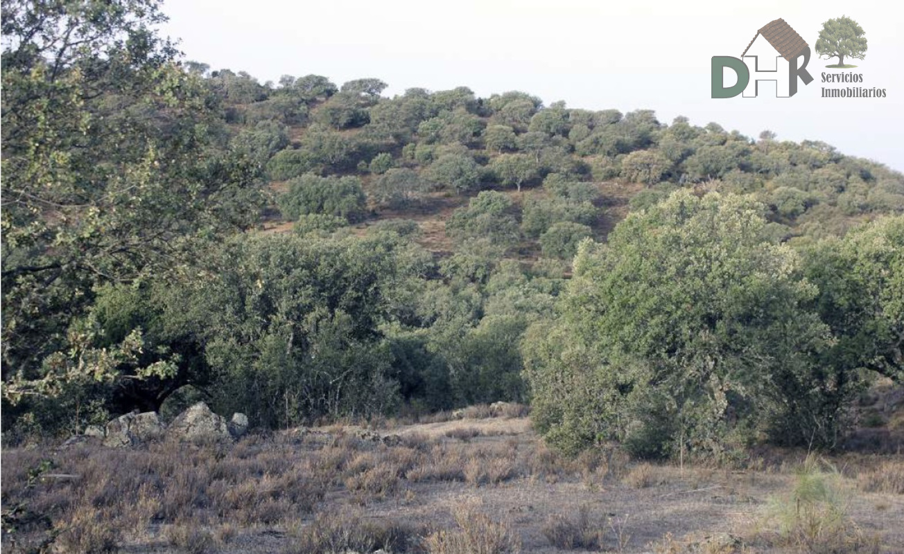 Venta de terreno en Cáceres