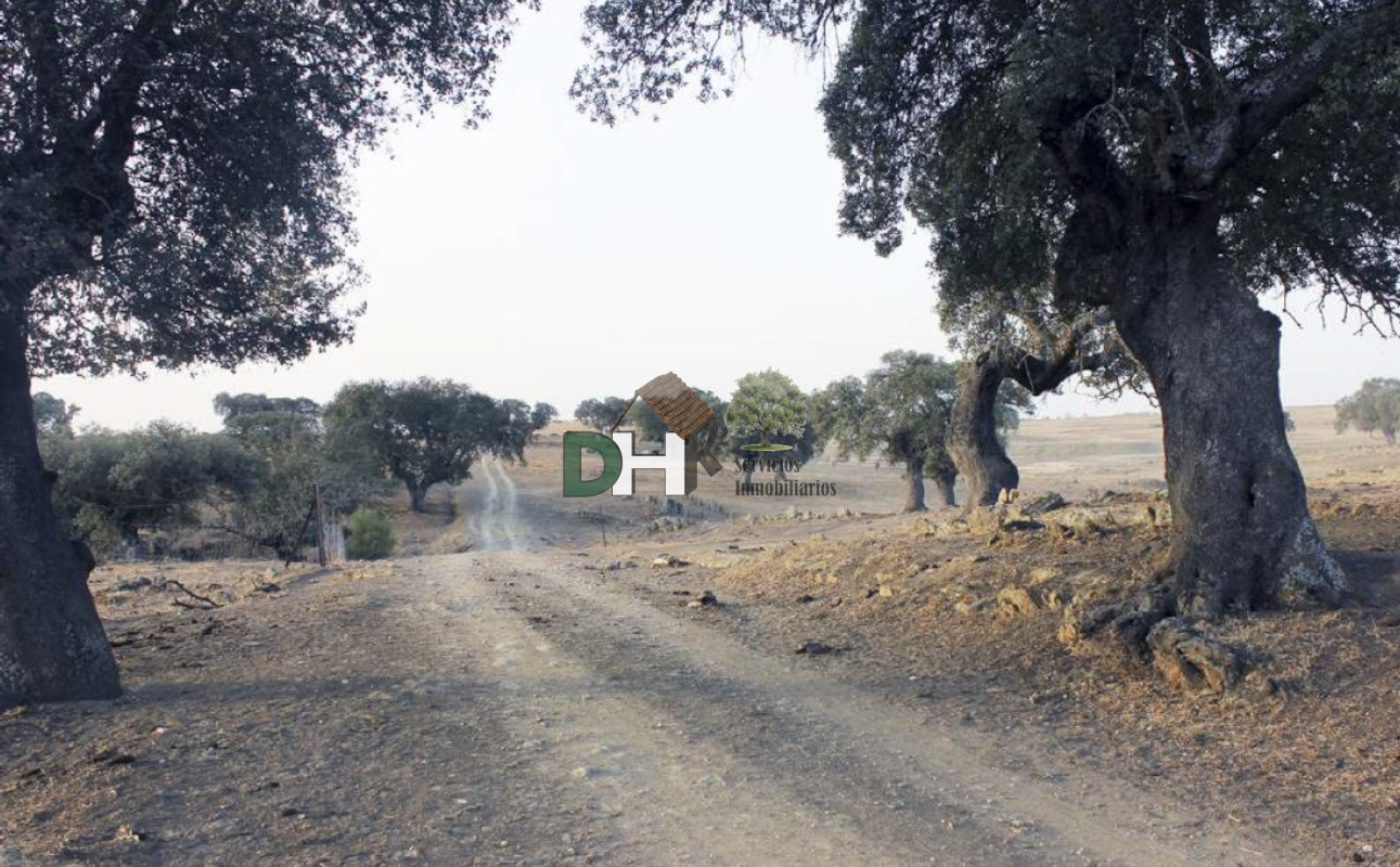 Venta de terreno en Cáceres