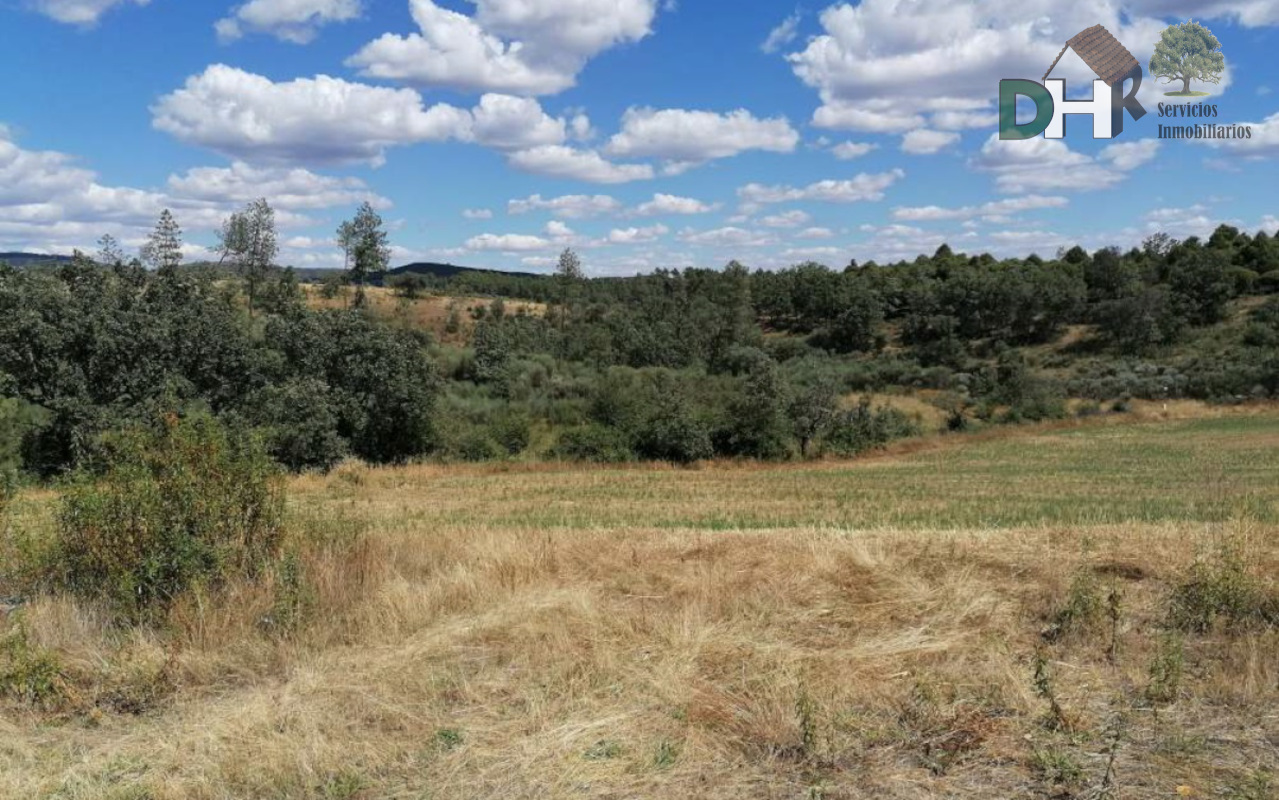 For sale of land in Valverde del Fresno