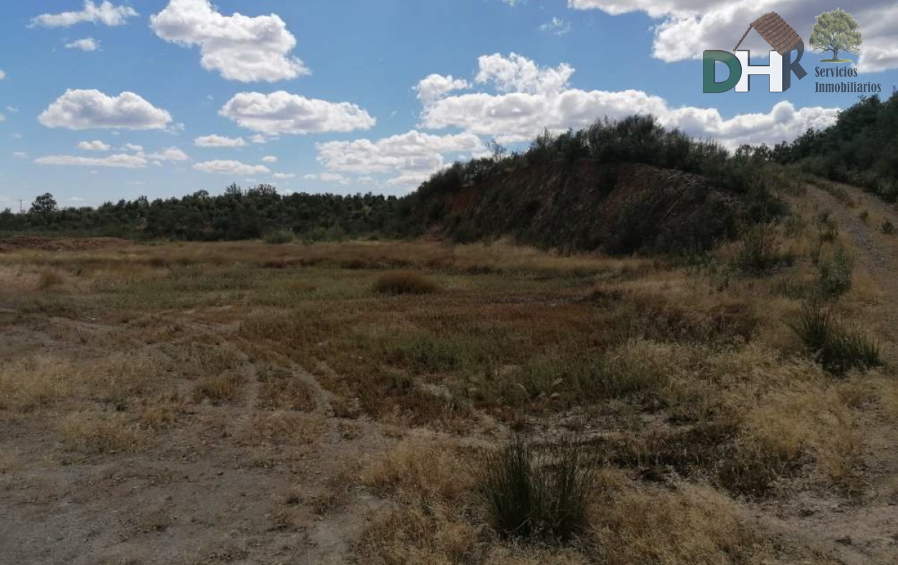 For sale of land in Valverde del Fresno