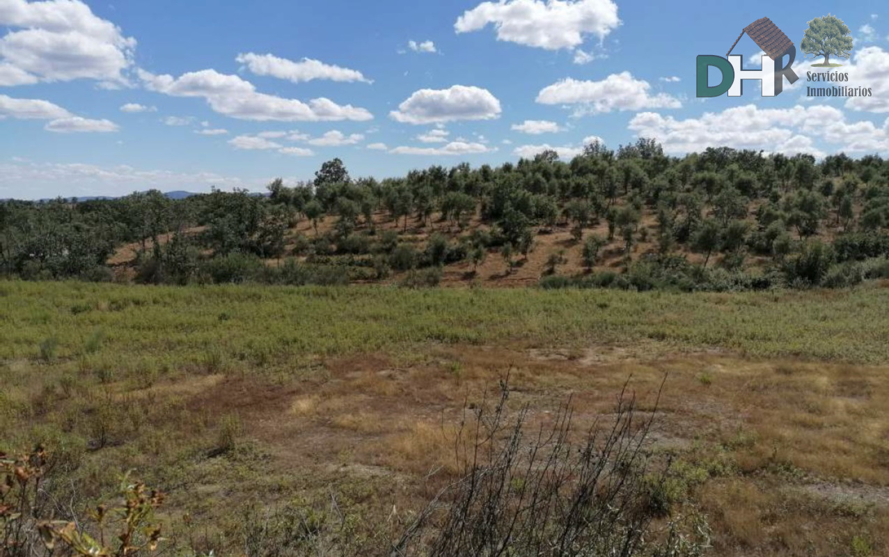 For sale of land in Valverde del Fresno