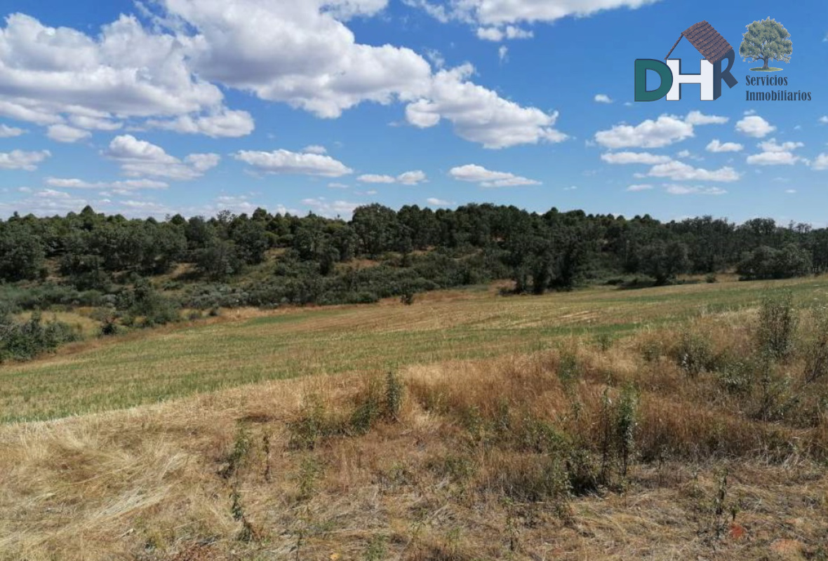 For sale of land in Valverde del Fresno