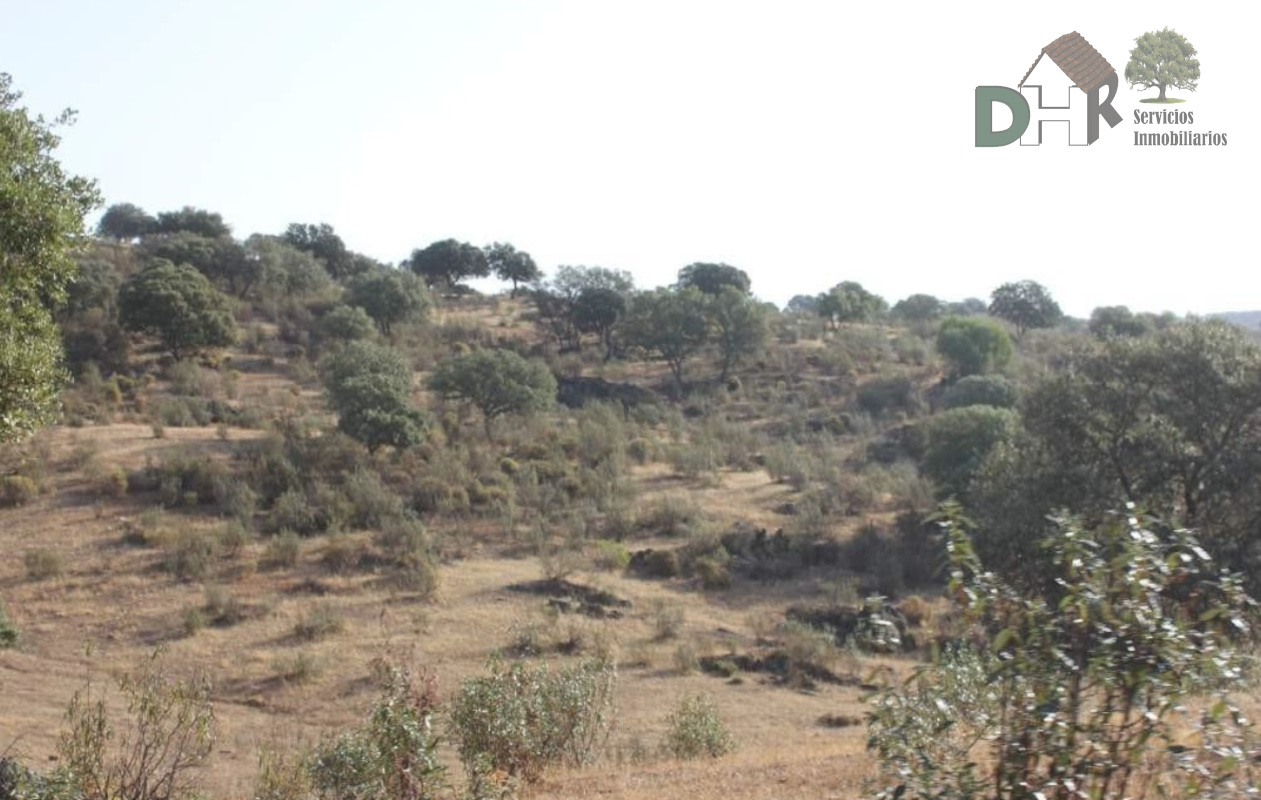 Venta de terreno en Cáceres Venta de terreno en Cáceres