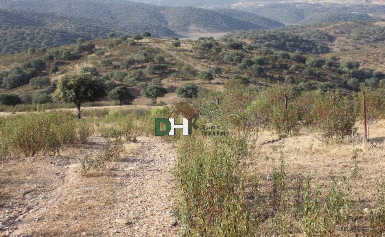 For sale of land in Coria