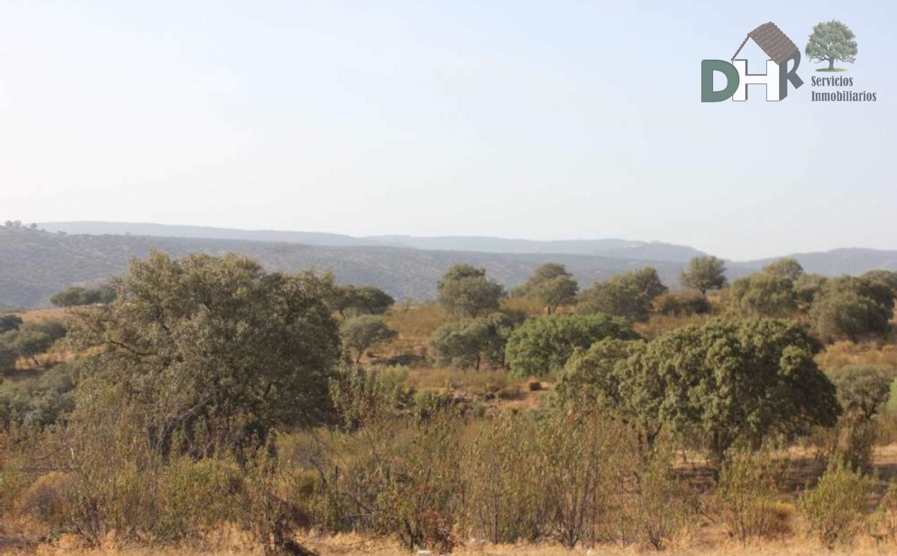 Venta de terreno en Cáceres Venta de terreno en Cáceres