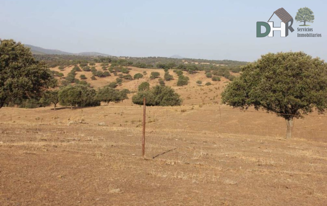 For sale of land in Cáceres