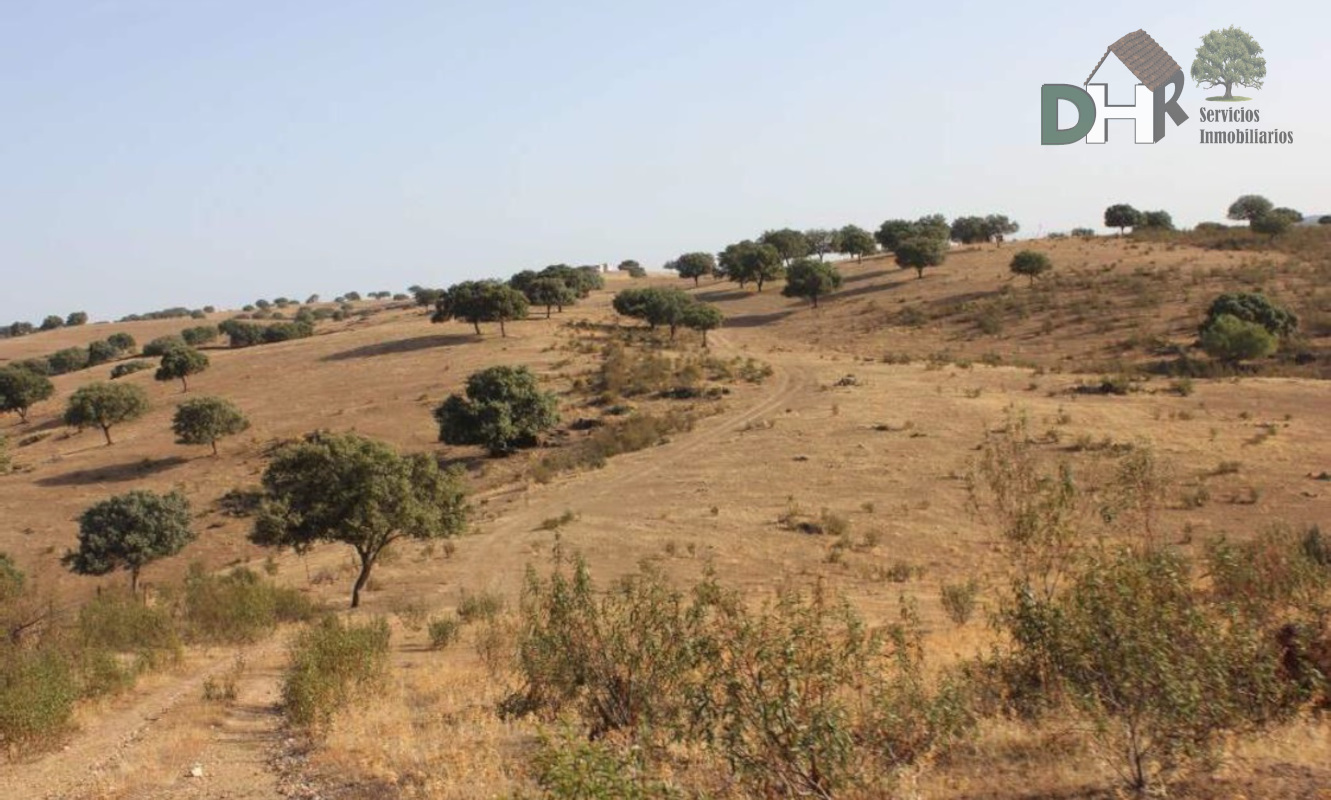 For sale of land in Cáceres