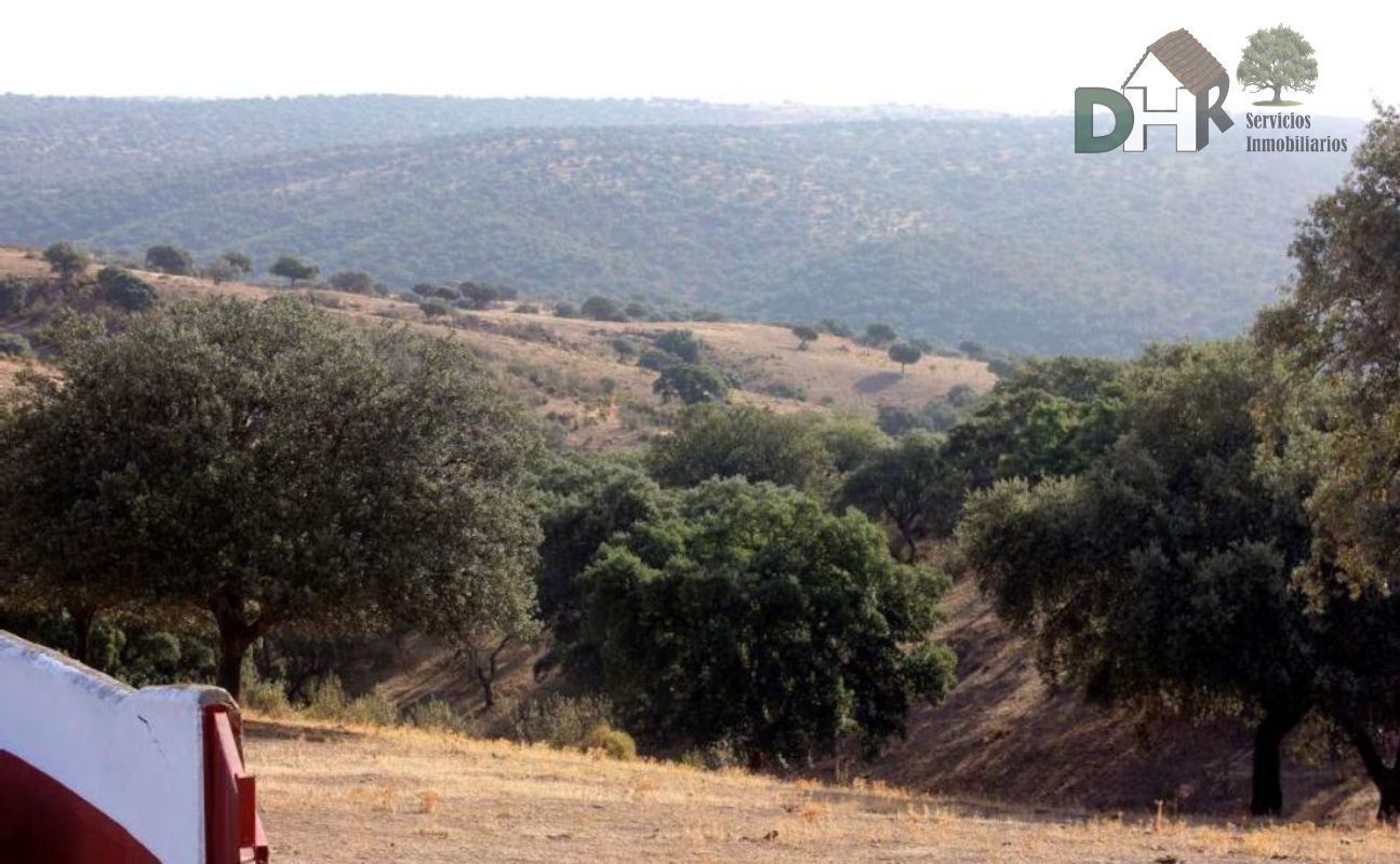 Venta de terreno en Cáceres Venta de terreno en Cáceres