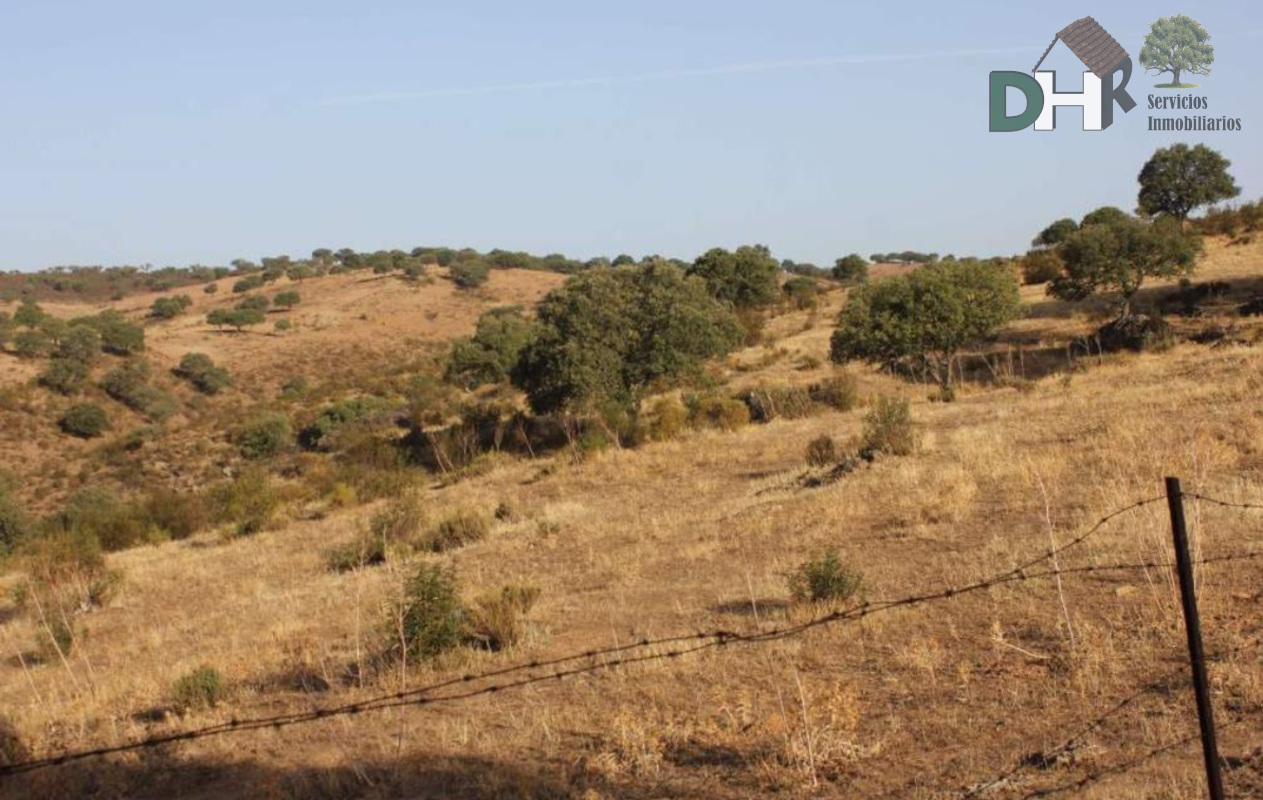 For sale of land in Coria