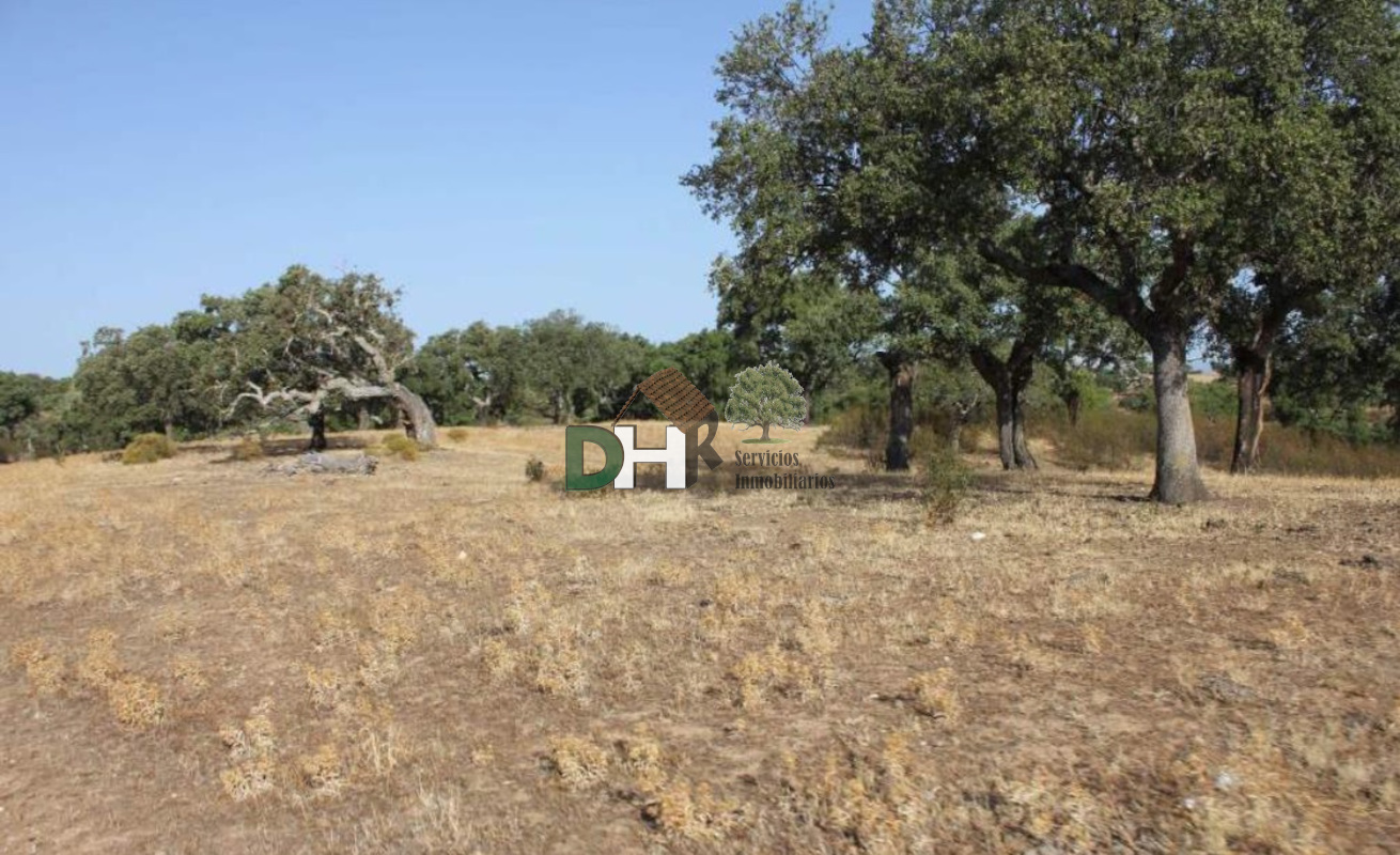 For sale of land in Cáceres