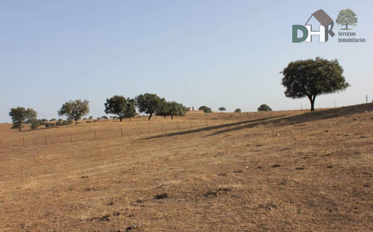 For sale of land in Cáceres