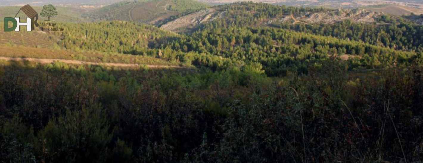 Venta de terreno en Cáceres