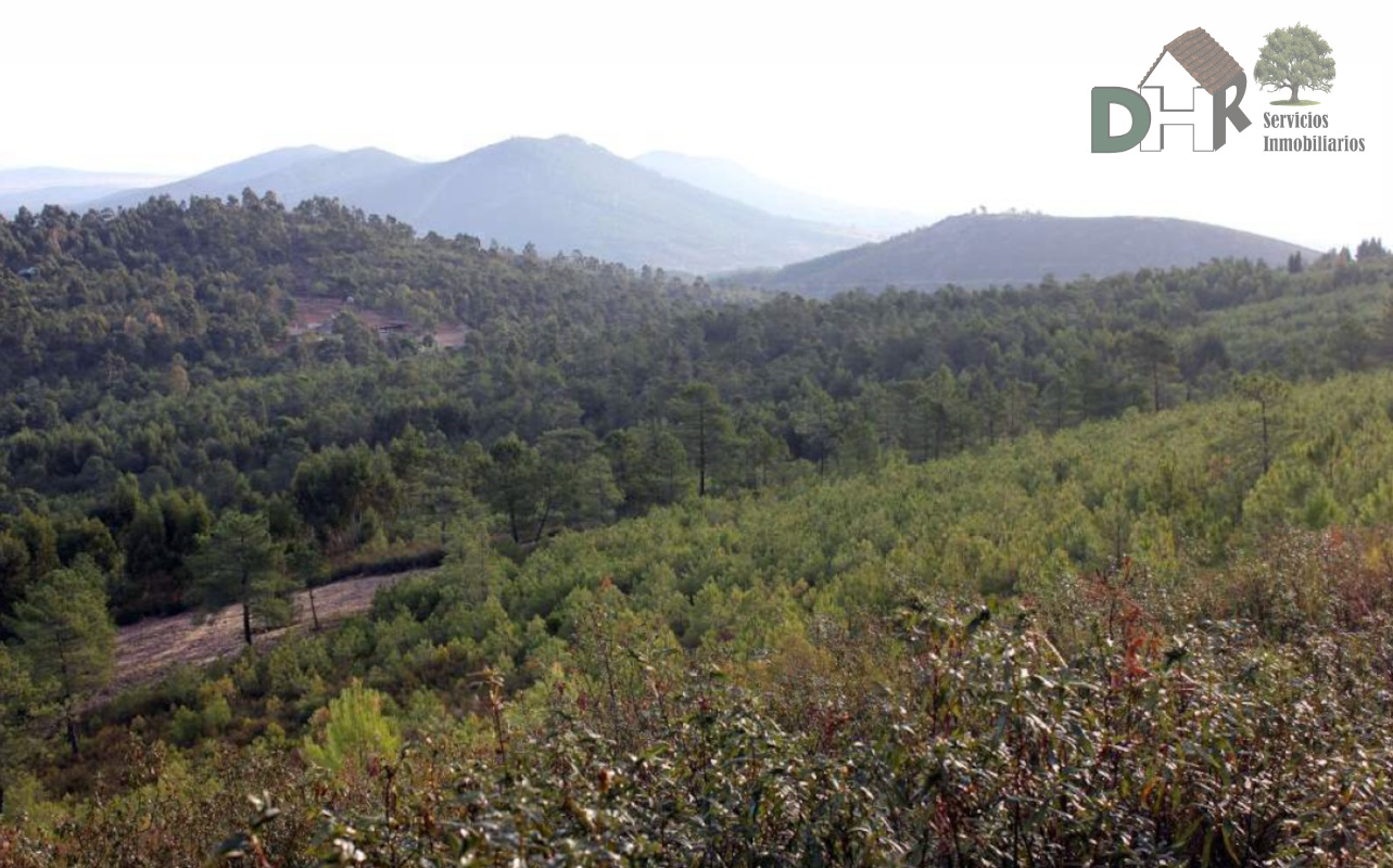 For sale of land in Cáceres