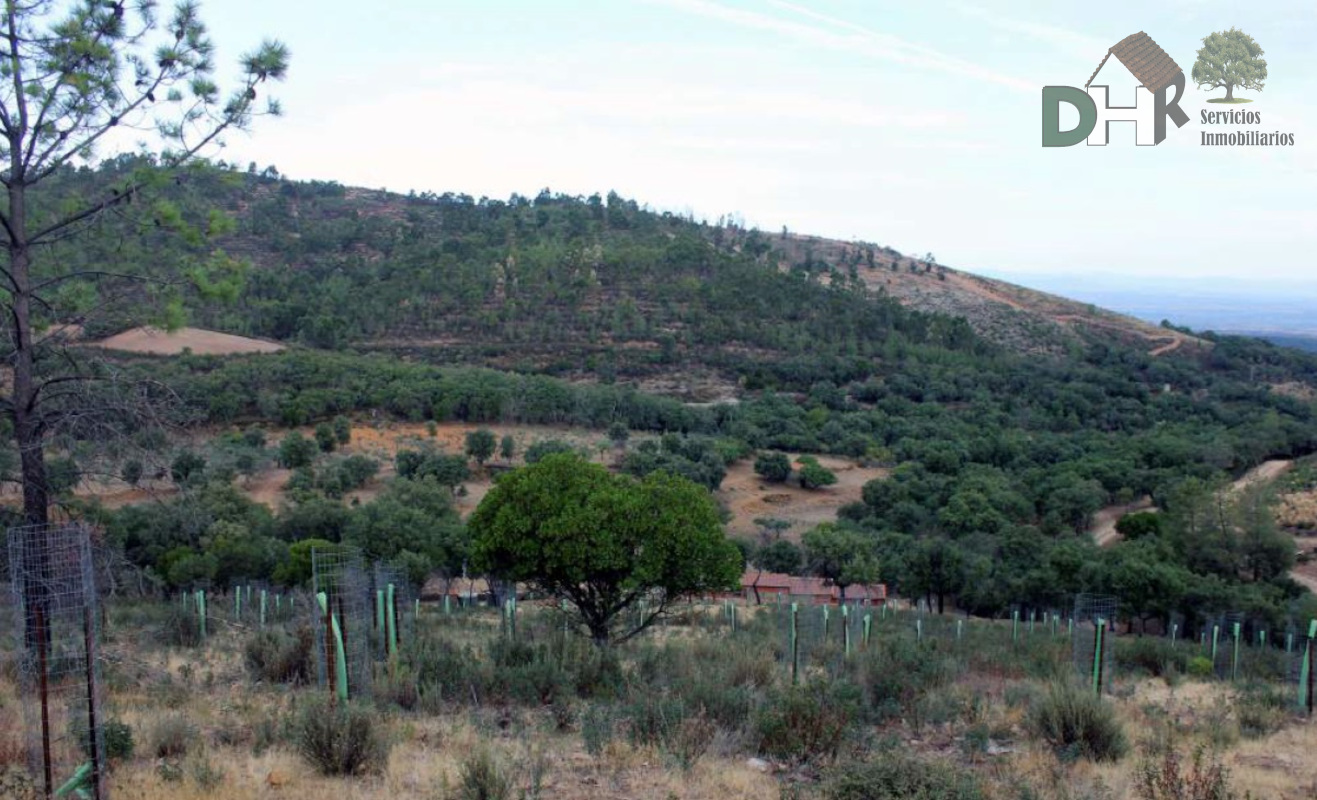 For sale of land in Cáceres