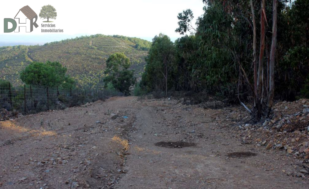 For sale of land in Cáceres