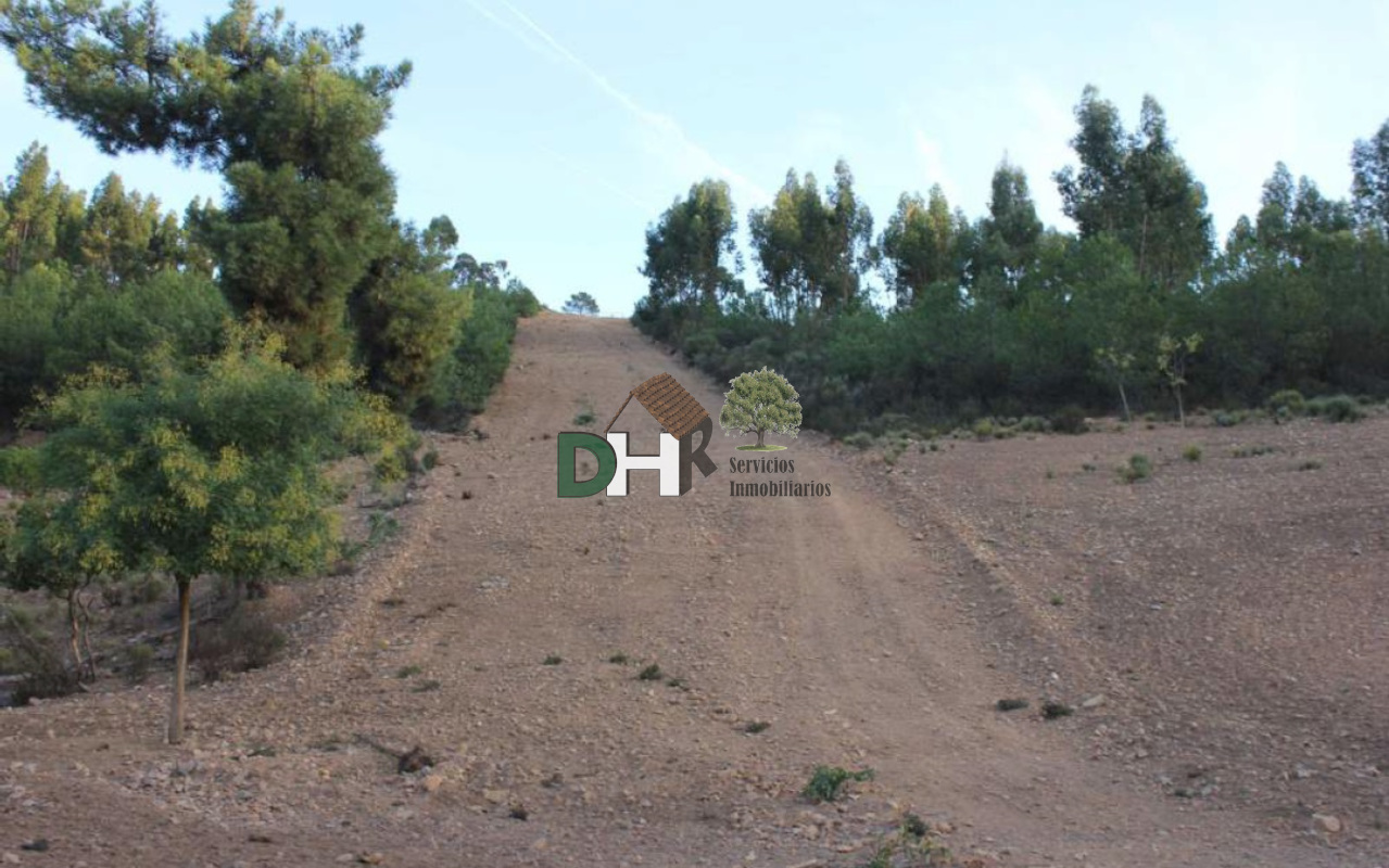 Venta de terreno en Cáceres