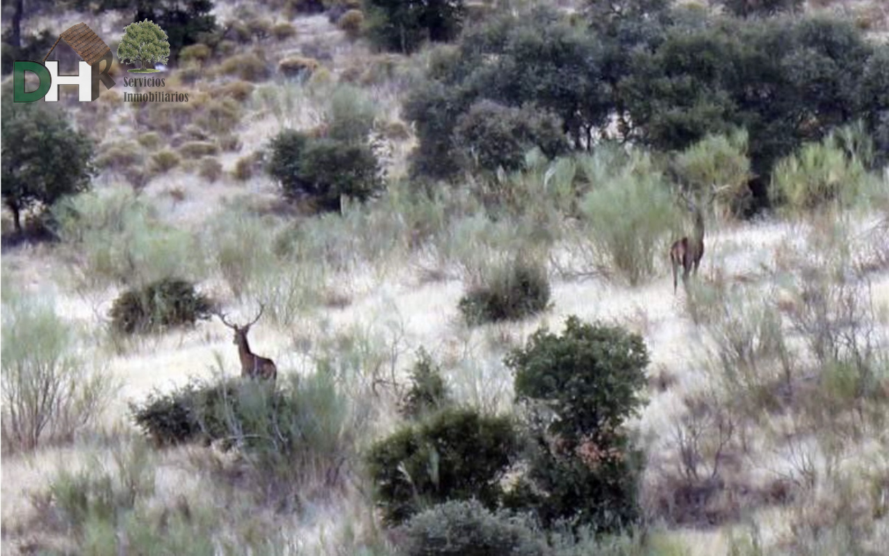 Venta de terreno en Cáceres