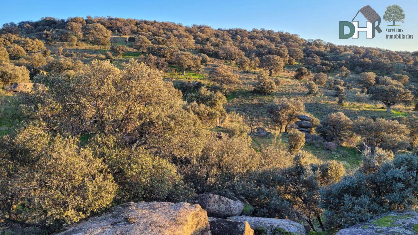 For sale of land in Cáceres