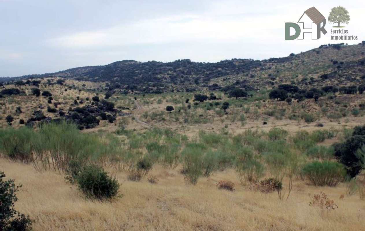 For sale of land in Cáceres