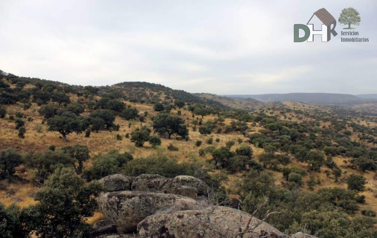 For sale of land in Cáceres