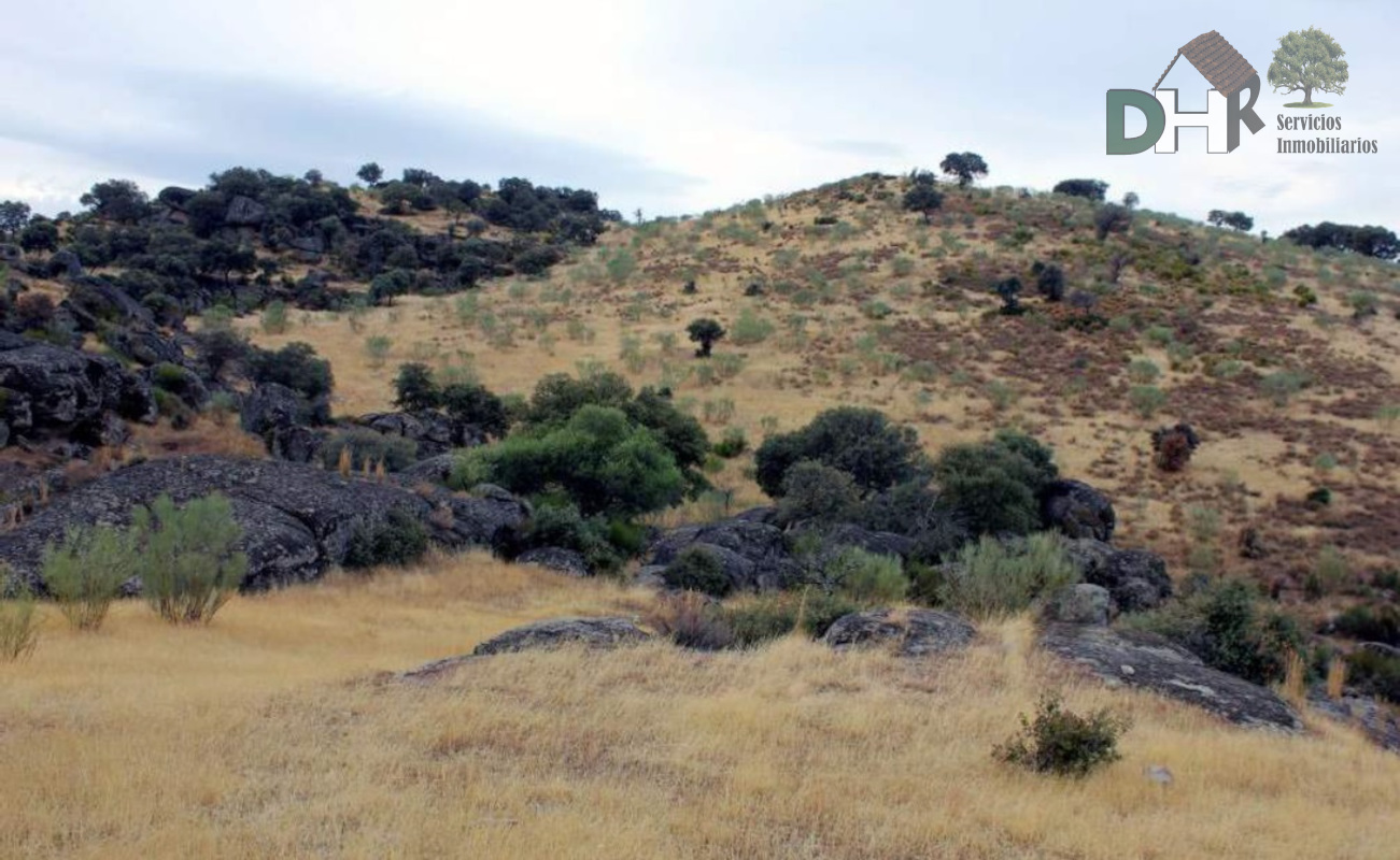 For sale of land in Cáceres