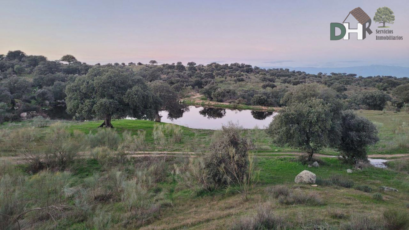 For sale of land in Cáceres