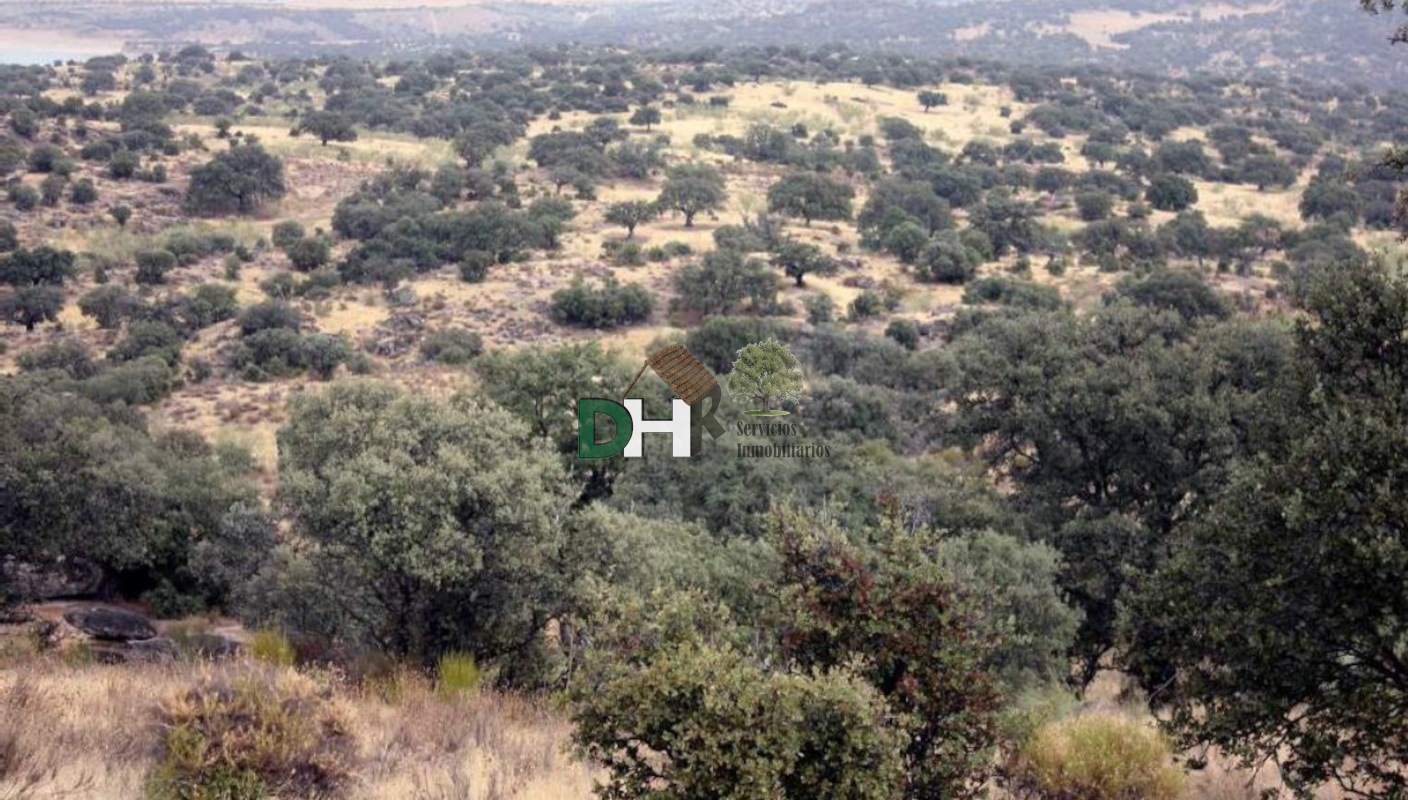 For sale of land in Cáceres