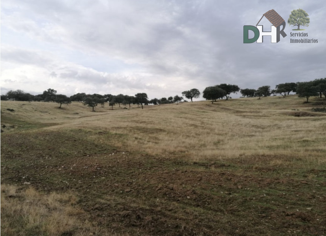 For sale of land in Cáceres