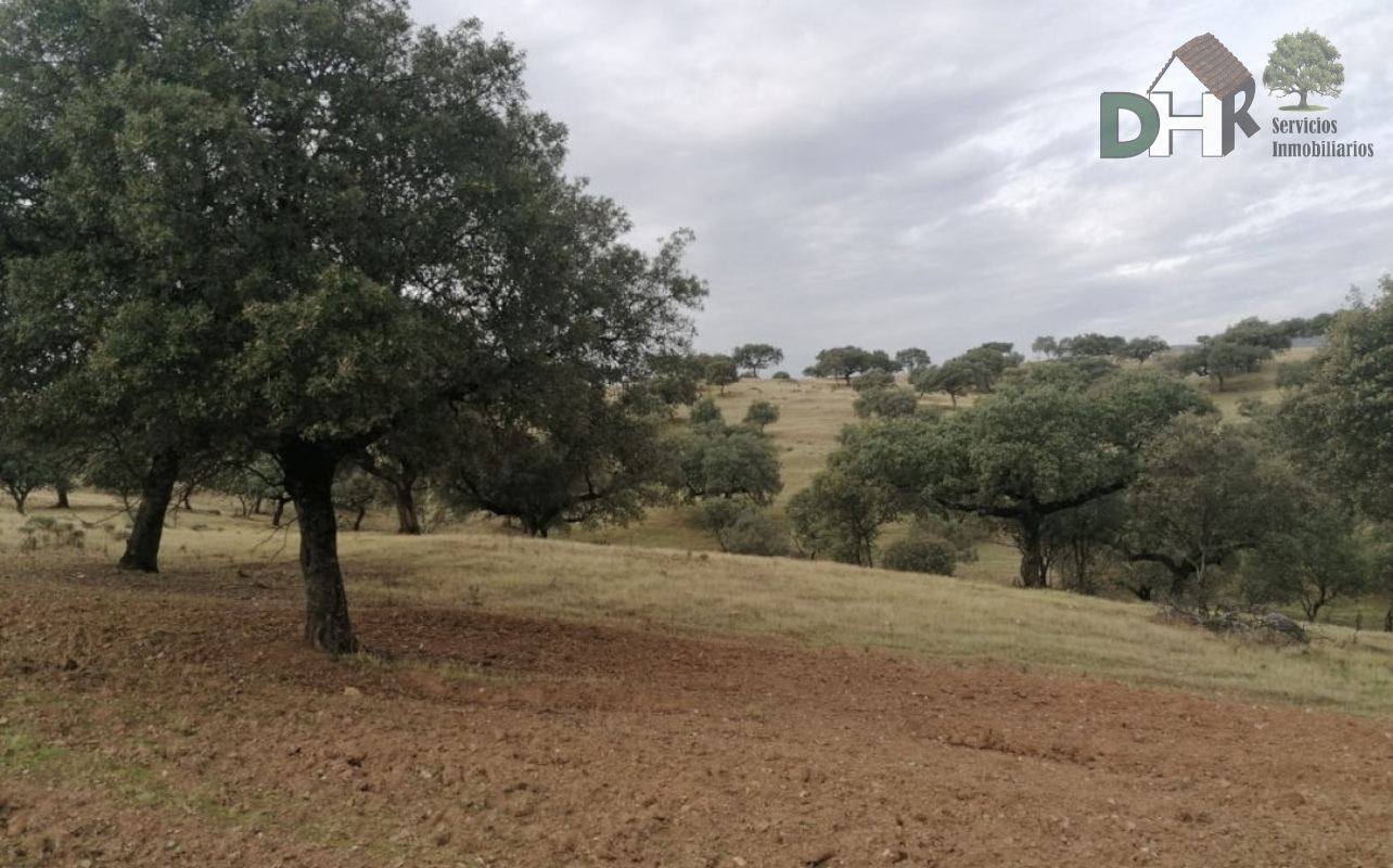 For sale of land in Plasencia