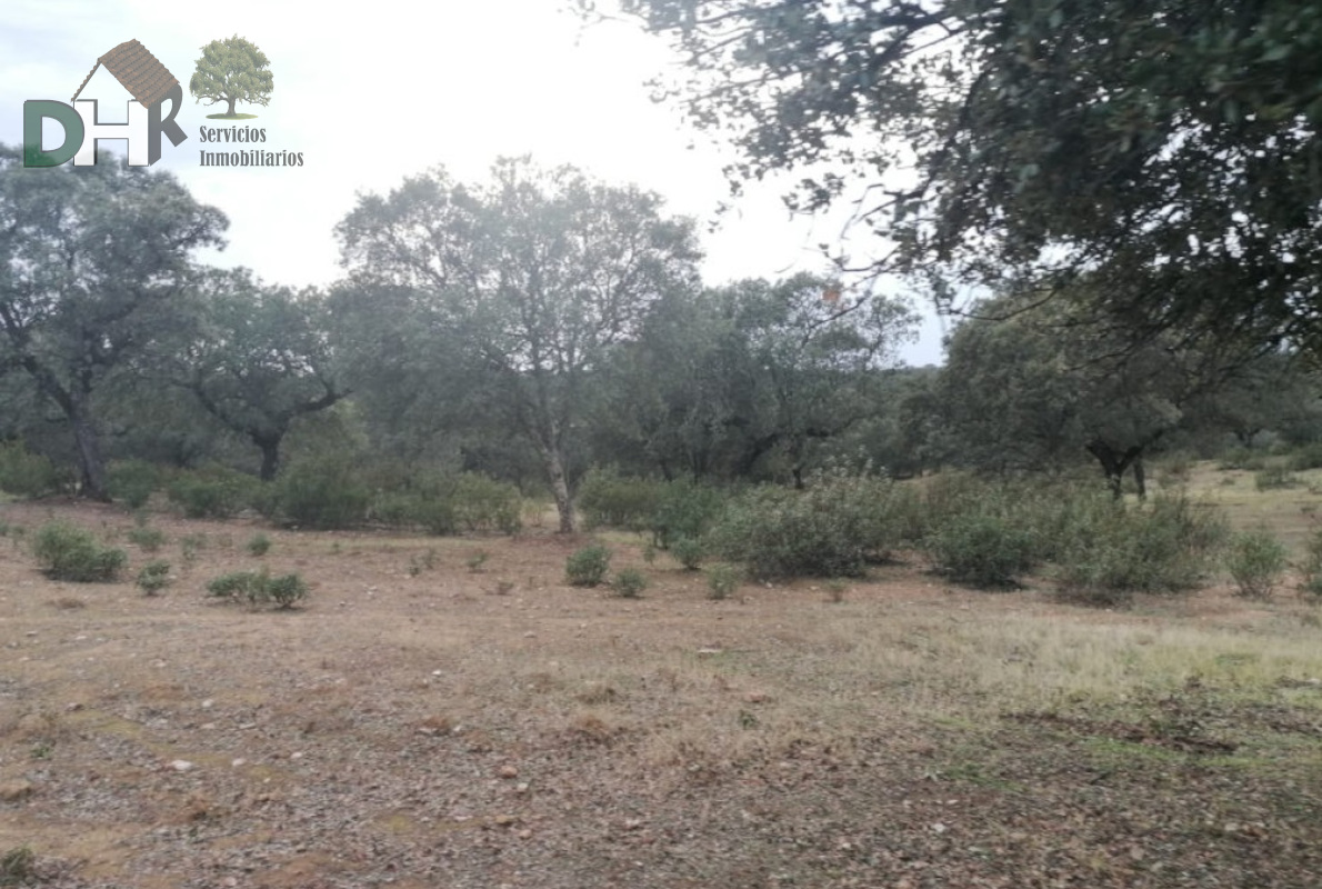 For sale of land in Cáceres