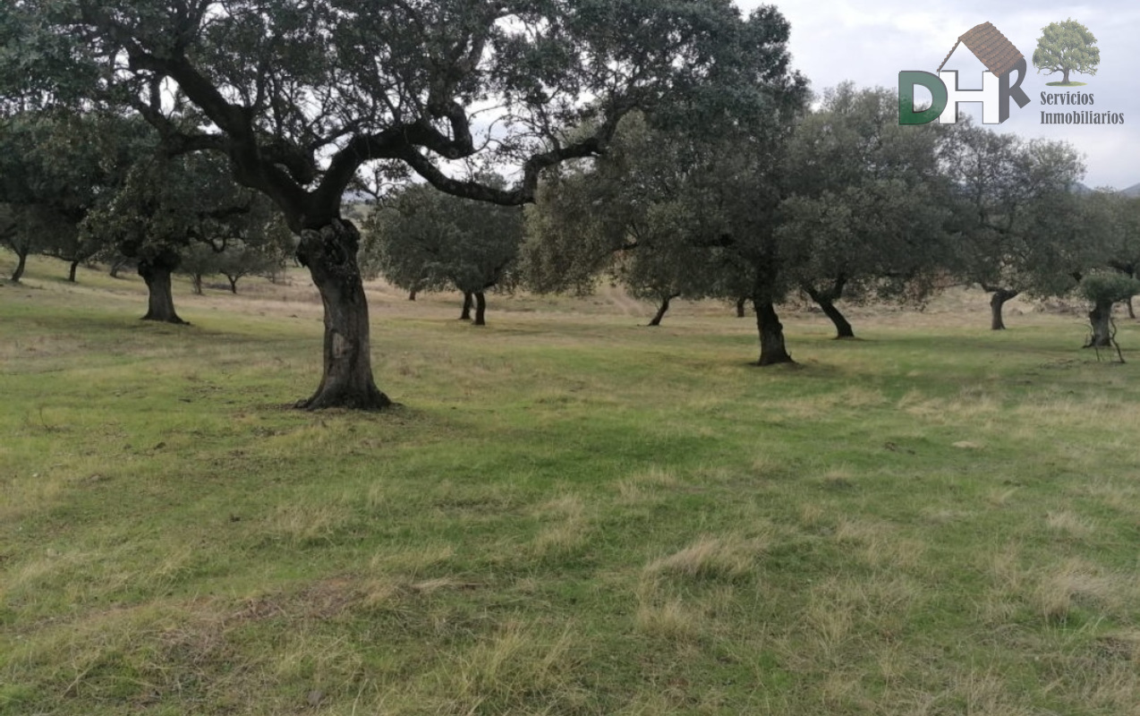 For sale of land in Cáceres