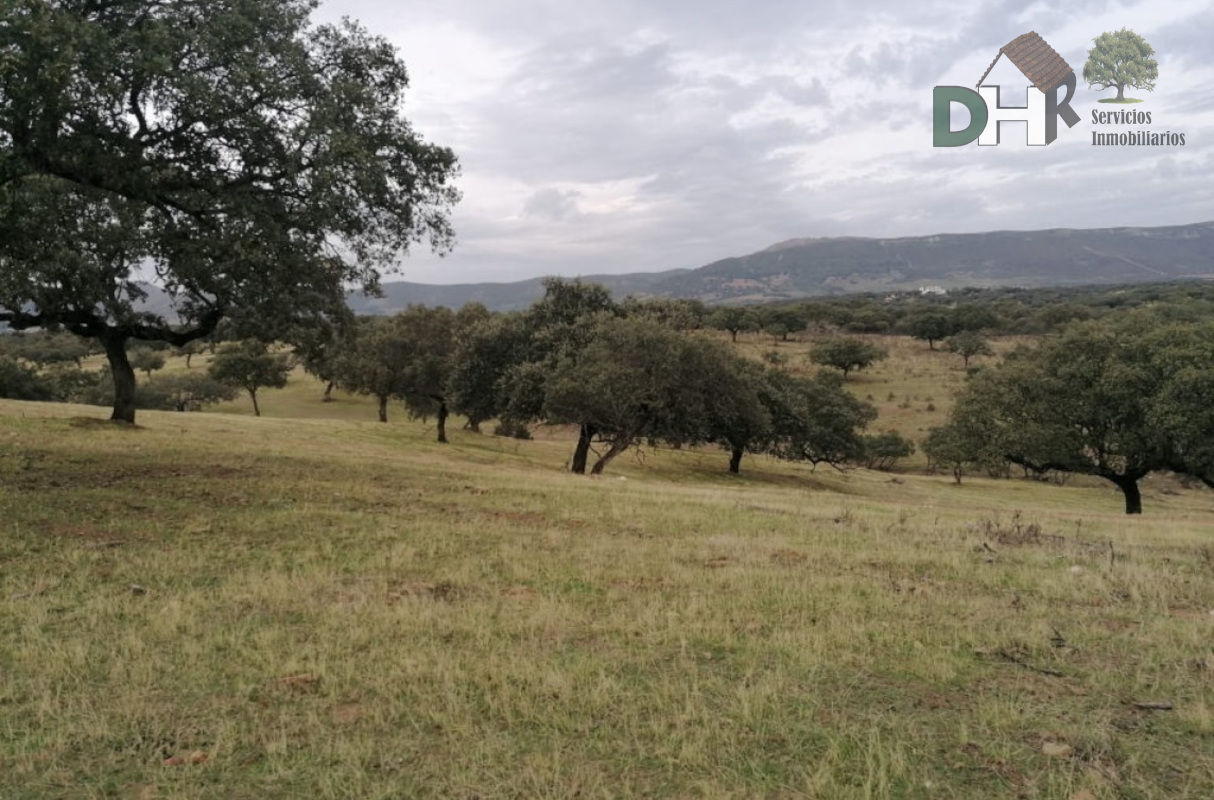 For sale of land in Cáceres