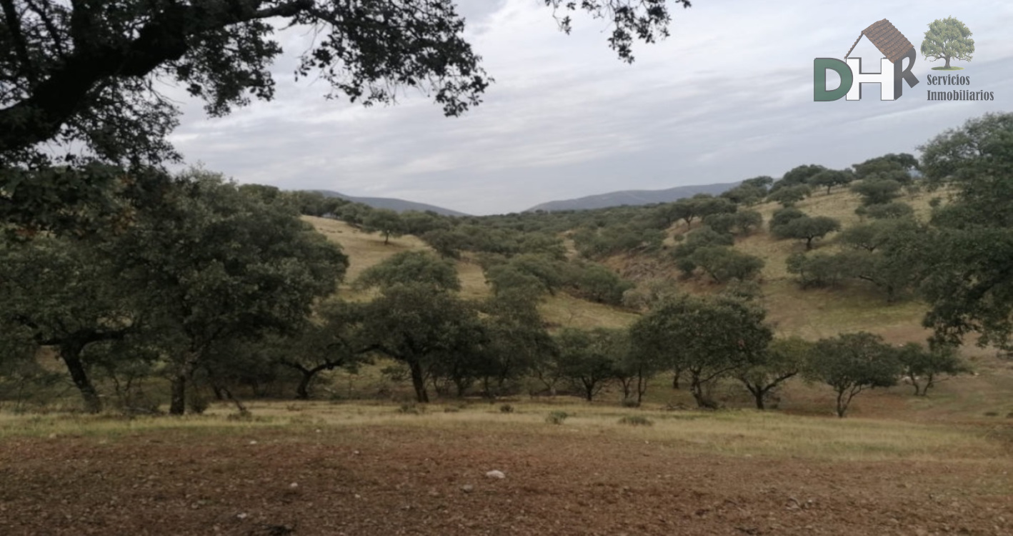 For sale of land in Cáceres