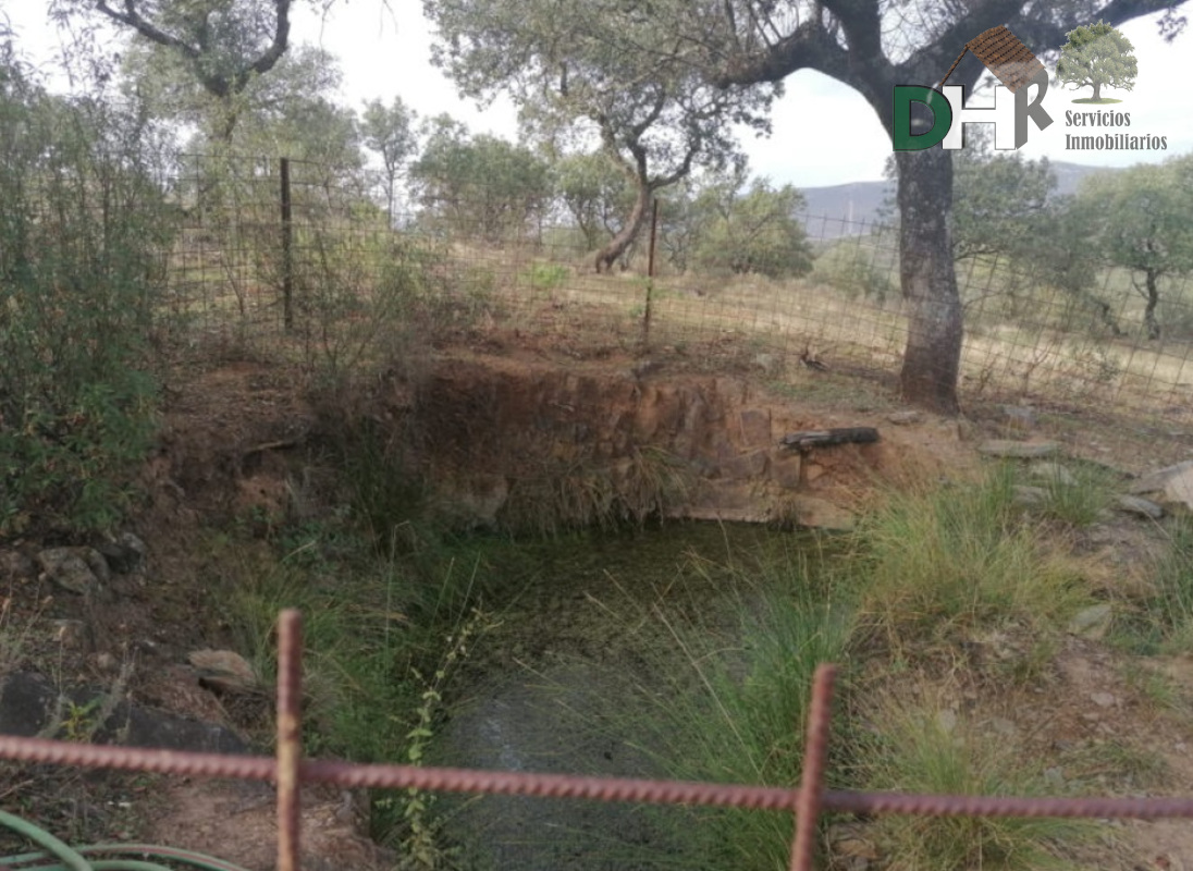 For sale of land in Cáceres